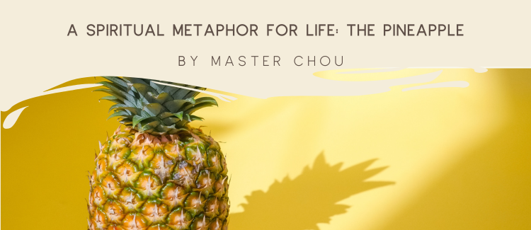 A spiritual metaphor for life: the pineapple